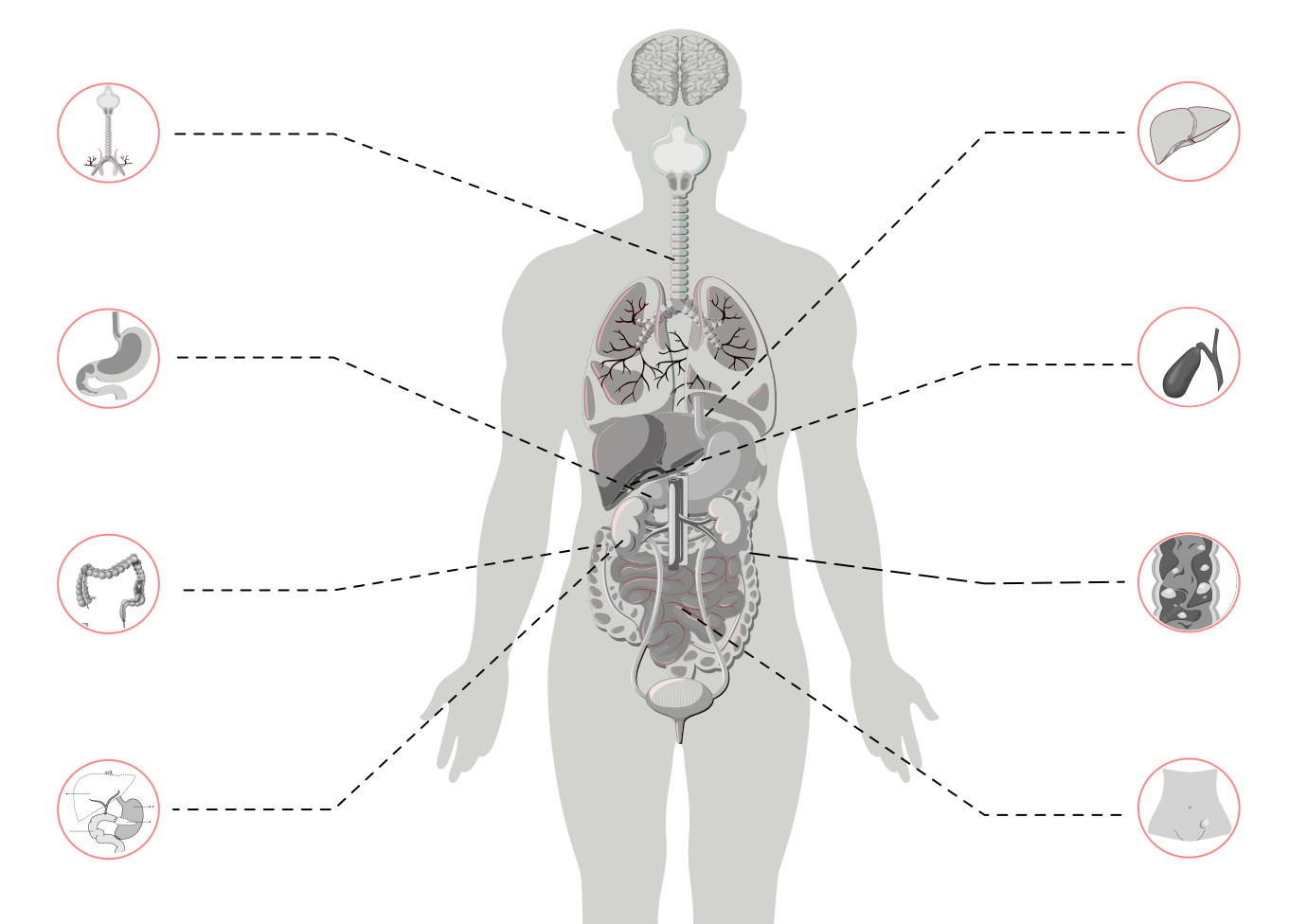 Dr. Pavan Addala - Gastroenterologist